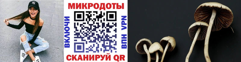 Галлюциногенные грибы ЛСД хочу наркоту Камышлов