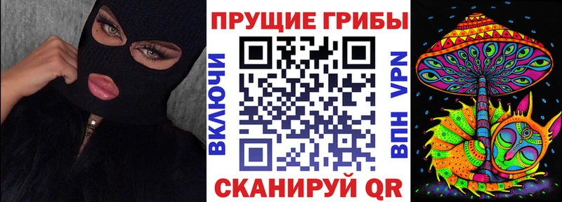 Псилоцибиновые грибы Psilocybine cubensis Камышлов